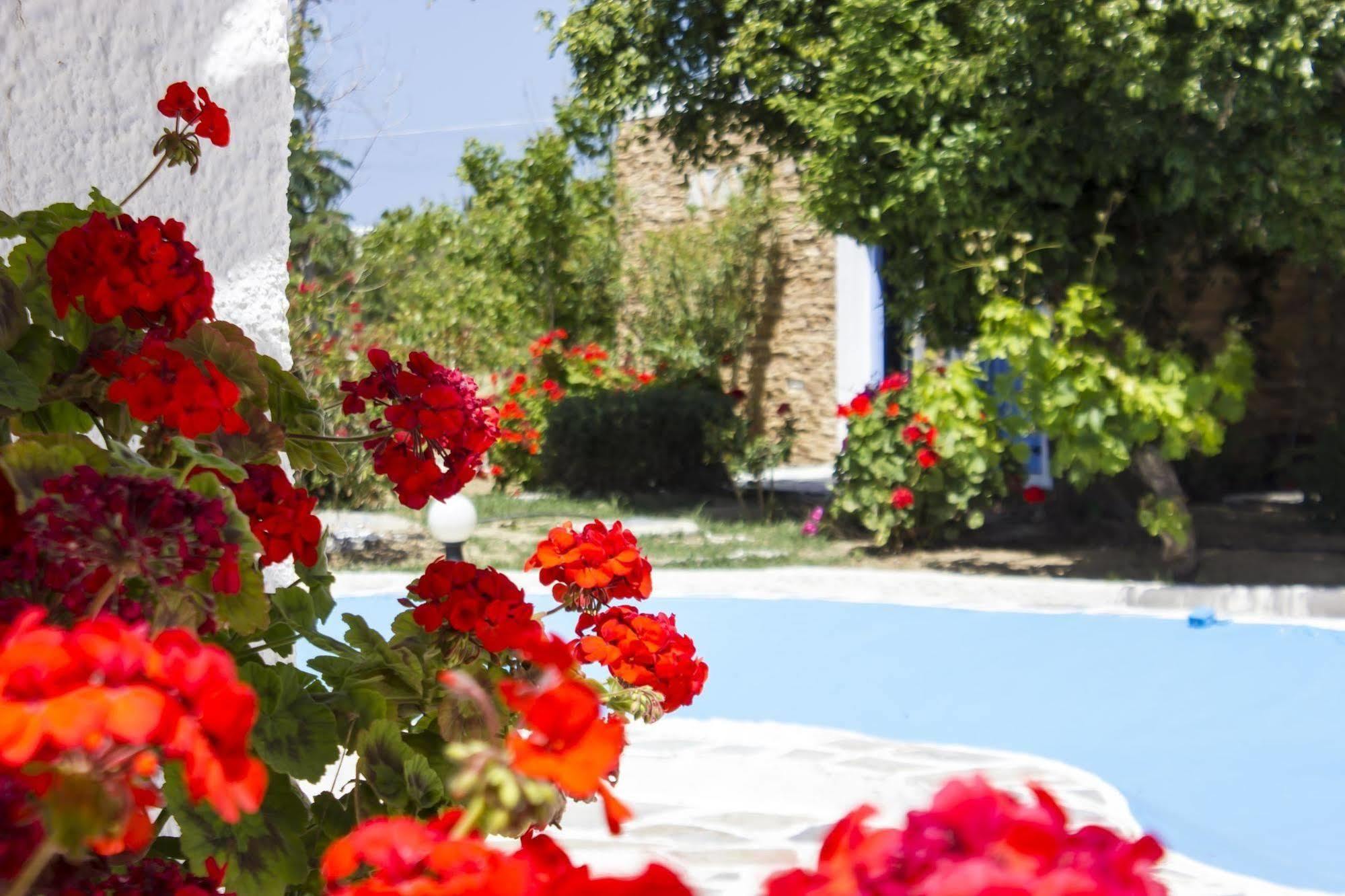 Naxos Holidays Naxos City Esterno foto