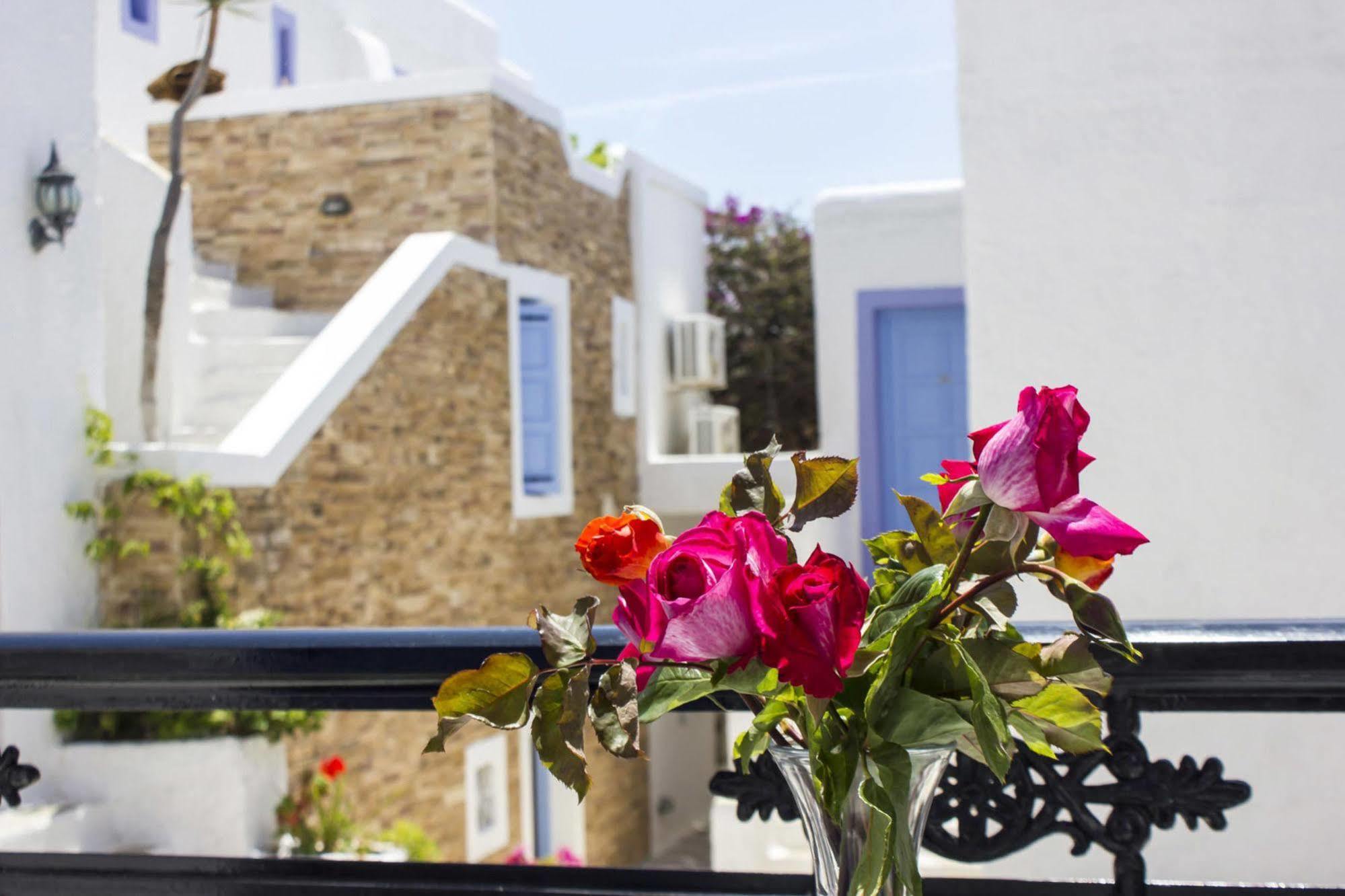 Naxos Holidays Naxos City Esterno foto